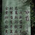 詠菊(唐代白居易詩作) 詠菊(唐代白居易詩作)