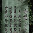 詠菊(唐代白居易詩作)