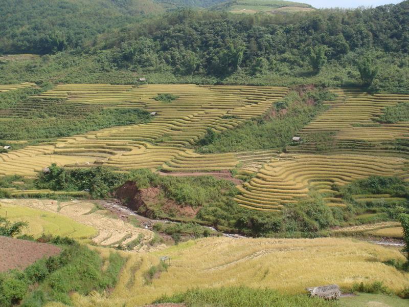英業村 英業村
