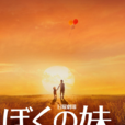 我的妹妹(日本TBS電視台製作並播出的電視劇) 我的妹妹(日本TBS電視台製作並播出的電視劇)