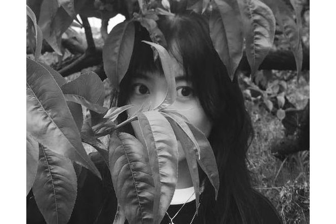 王鑫焱 王鑫焱