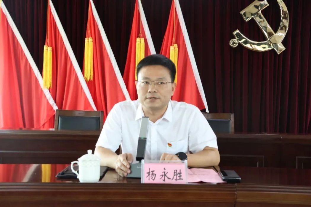 楊永勝(泉州市南安市樂峰鎮黨委書記) 楊永勝(泉州市南安市樂峰鎮黨委書記)