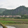 白石鎮(廣東省雲浮市雲安區白石鎮) 白石鎮(廣東省雲浮市雲安區白石鎮)