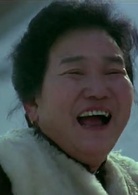 過年(1991年黃健中執導電影)
