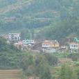 老房子村(雲南曲靖市會澤縣上村鄉下轄村) 老房子村(雲南曲靖市會澤縣上村鄉下轄村)