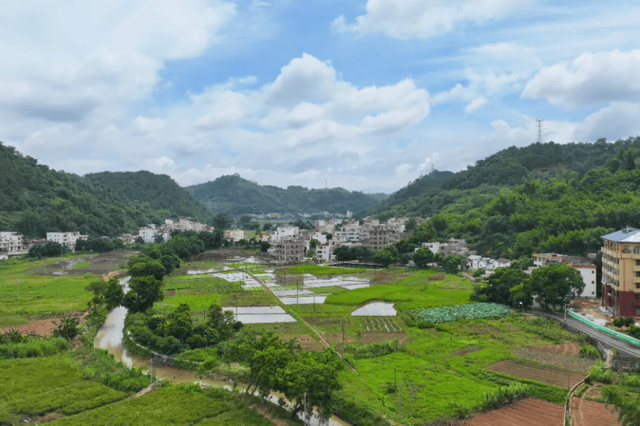 排子村 排子村