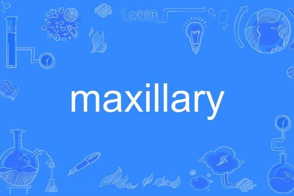 maxillary maxillary