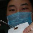 異物入耳(真實案例) 異物入耳(真實案例)