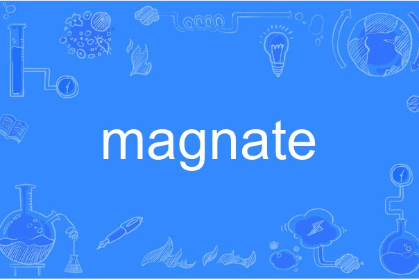 magnate magnate