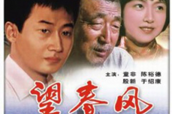 望春風(1987年謝雨辰執導電影)