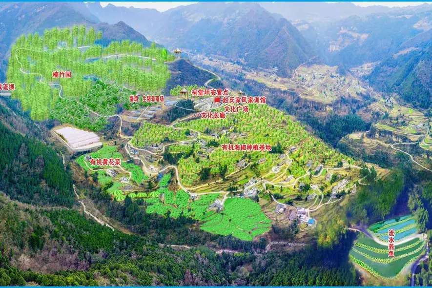 雙午村