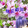 桃花姑娘(網路小說) 桃花姑娘(網路小說)