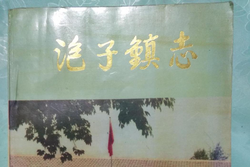 泡子鎮志