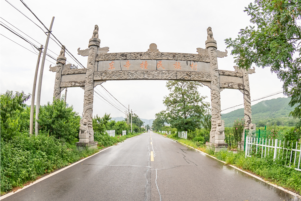 東辛撞村 東辛撞村