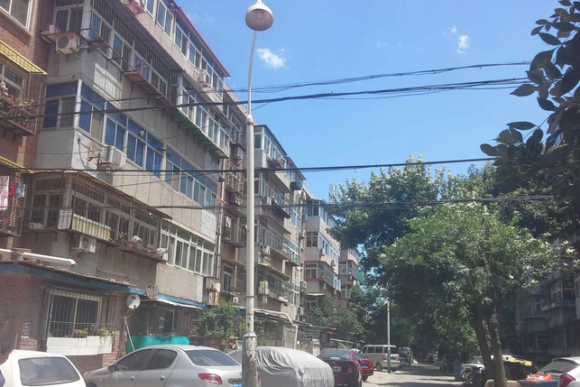 集園裡