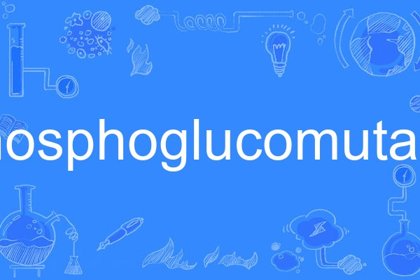 phosphoglucomutase phosphoglucomutase