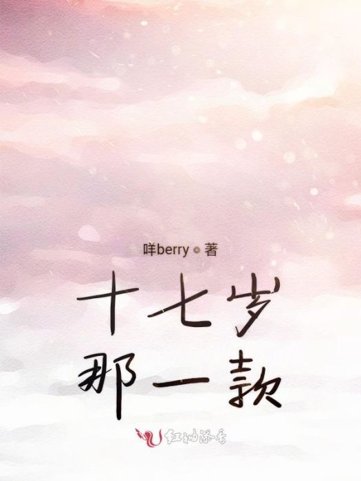 十七歲那一款 十七歲那一款