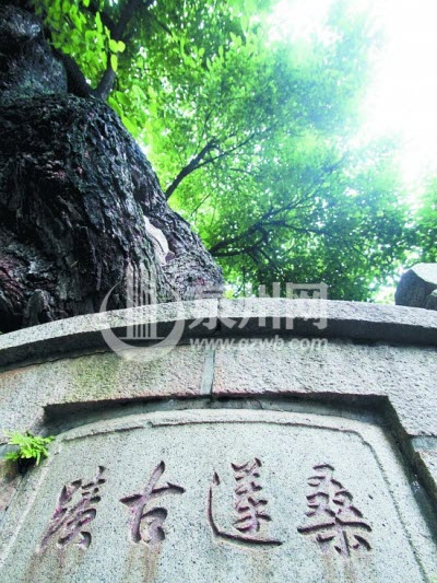 古桑墩 古桑墩