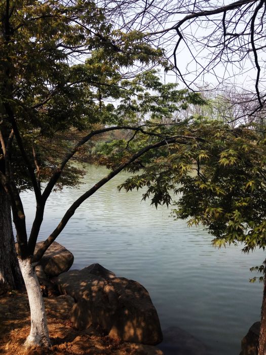 鄧西湖 鄧西湖