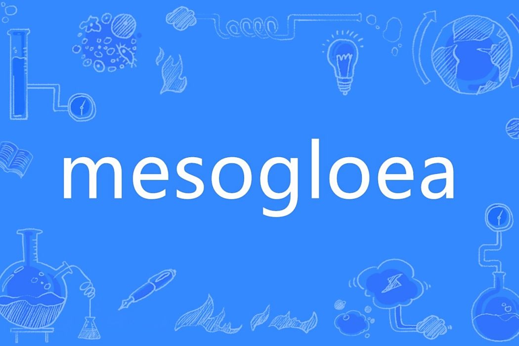 mesogloea mesogloea