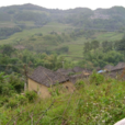 曹家寨村(山西省忻州市繁峙縣砂河鎮下轄村) 曹家寨村(山西省忻州市繁峙縣砂河鎮下轄村)
