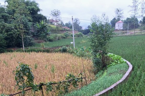 汪家壟村 汪家壟村