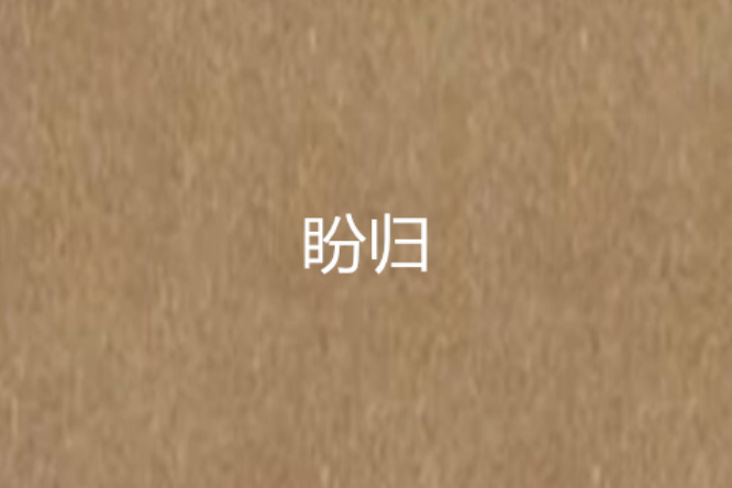 盼歸(小說) 盼歸(小說)
