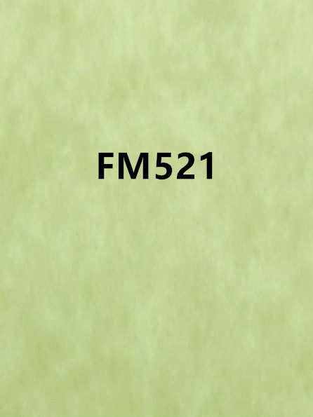 FM521 FM521