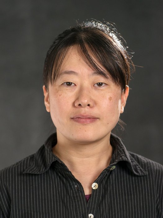 李貞(四川大學藝術學院教師) 李貞(四川大學藝術學院教師)