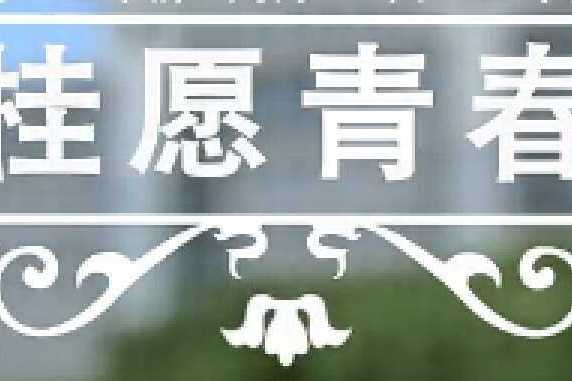 桂願青春 桂願青春