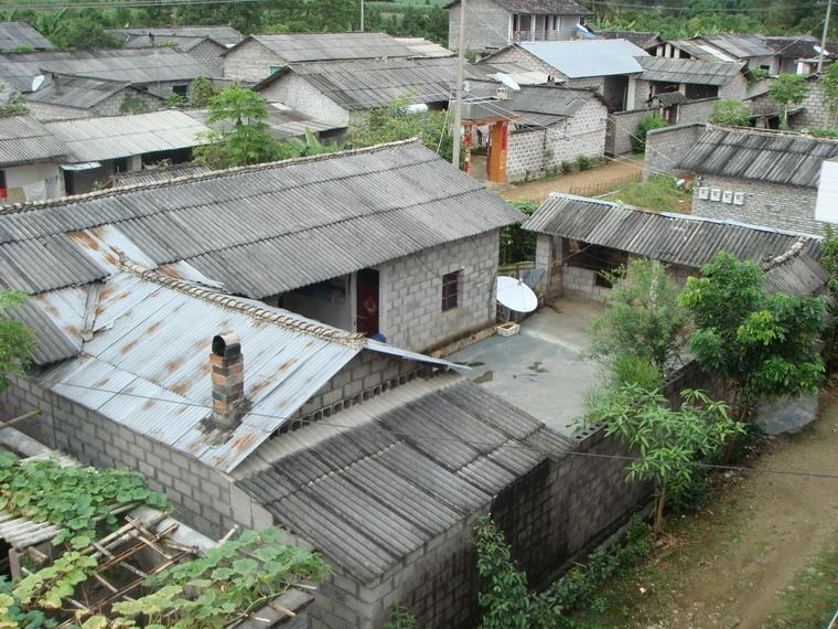 團蓮新村 團蓮新村
