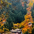 興隆山國家級自然保護區(興隆山景區) 興隆山國家級自然保護區(興隆山景區)