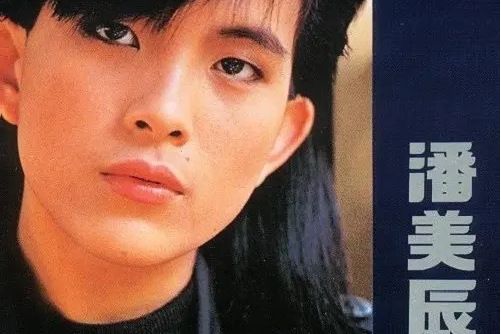 是你(1989年潘美辰發行的音樂專輯) 是你(1989年潘美辰發行的音樂專輯)