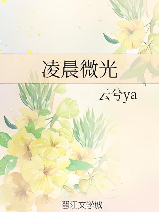 凌晨微光 凌晨微光