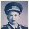 王耀南(工程兵副司令員、開國少將)