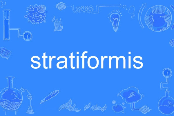 stratiformis stratiformis