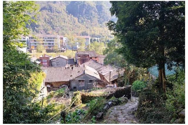 三興村(陝西省西安市周至縣陳河鎮下轄村) 三興村(陝西省西安市周至縣陳河鎮下轄村)
