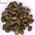 淡豆豉 淡豆豉