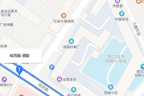 哈藥路 哈藥路