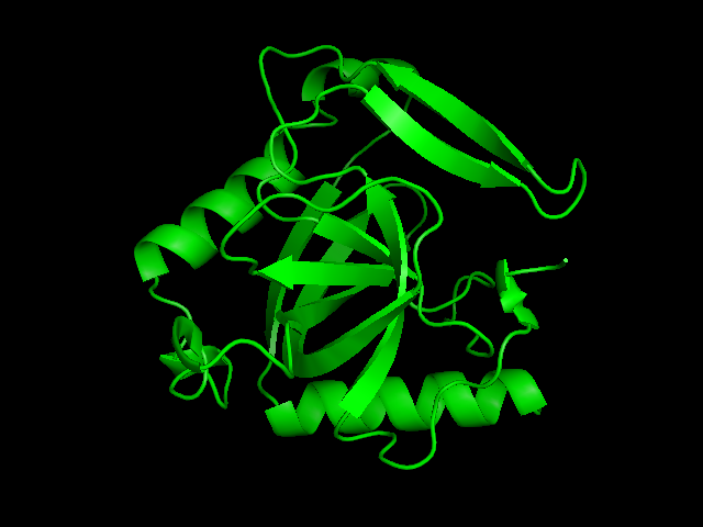 焦磷酸酶