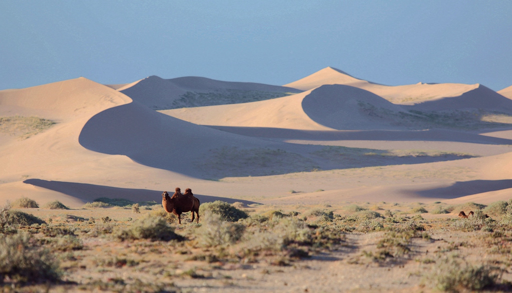 戈壁沙漠(中國和蒙古國之間沙漠)