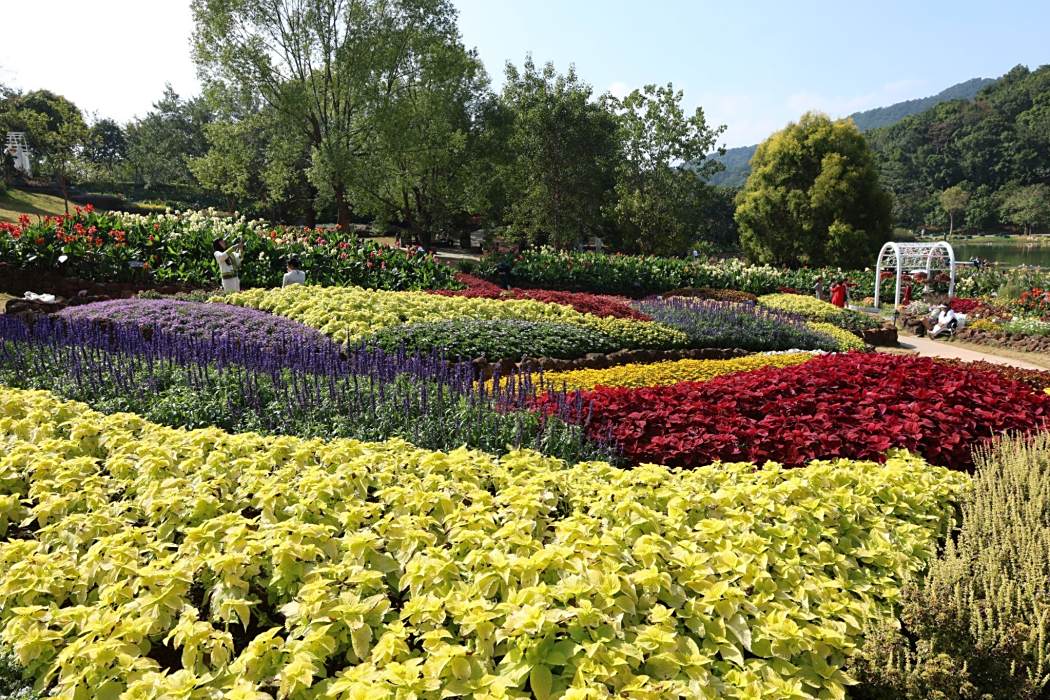 水生花園