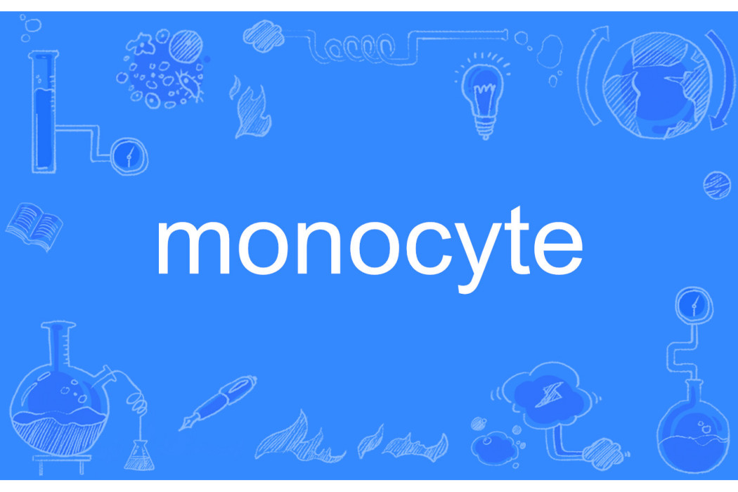 monocyte monocyte