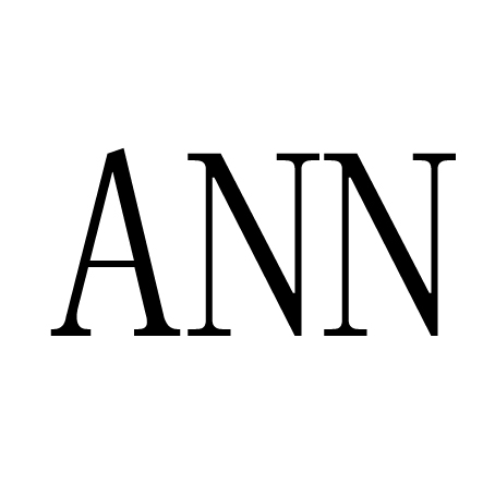 ANN(網路含義)