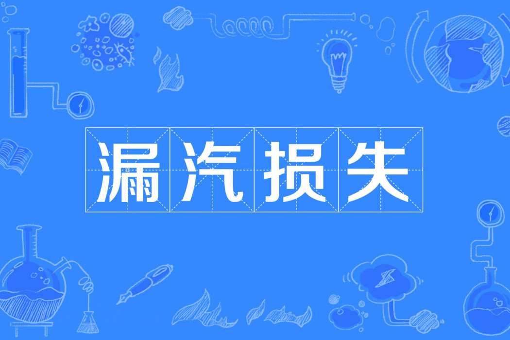 漏汽損失 漏汽損失