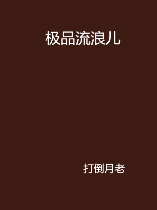 極品流浪兒 極品流浪兒