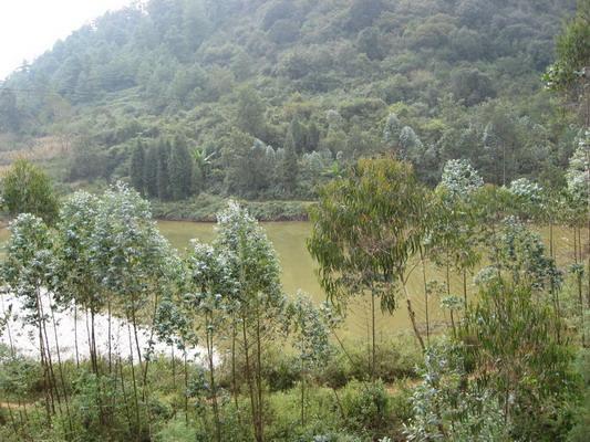 阿基自然村 阿基自然村