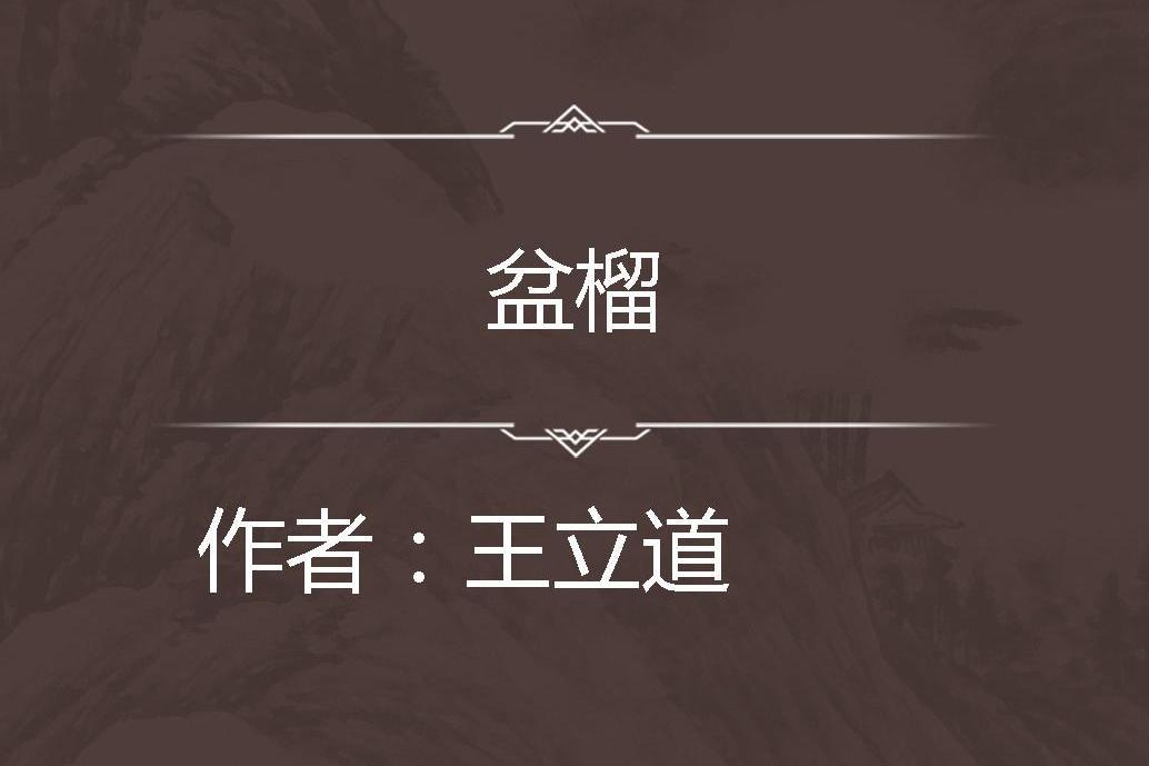 盆榴 盆榴