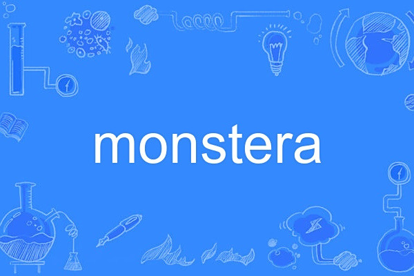 monstera