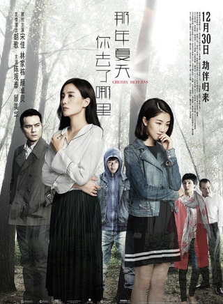 宋佳(小宋佳) 宋佳(小宋佳)